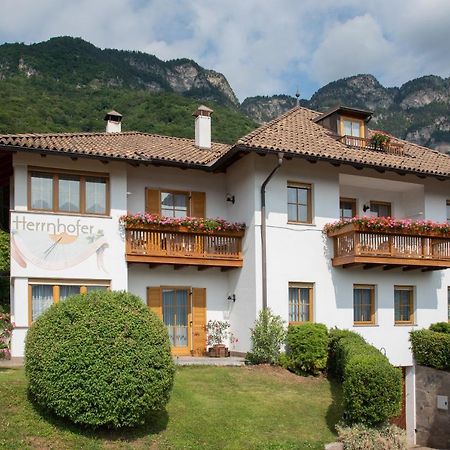 Apartments Herrnhofer Caldaro Exterior foto